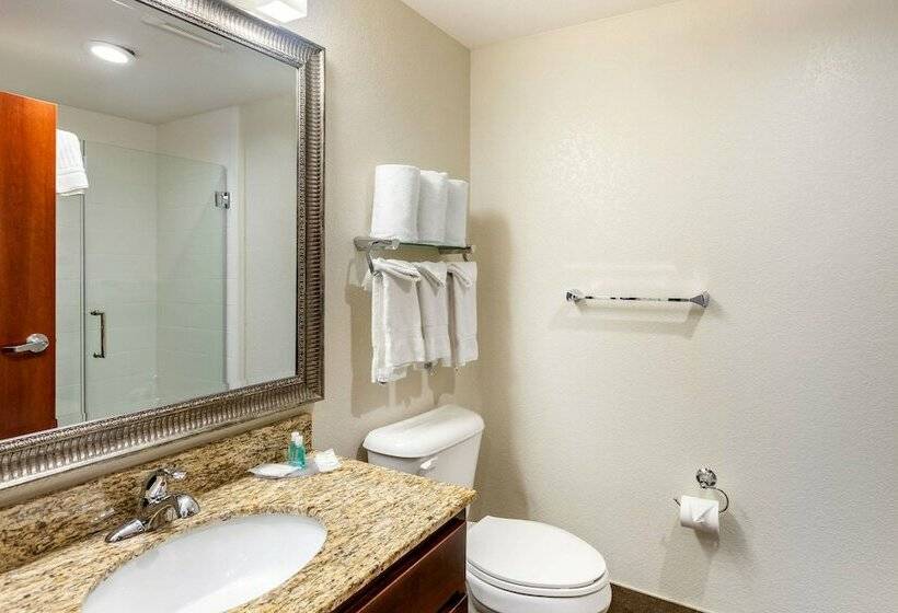 스위트, Mainstay Suites Near Denver Downtown