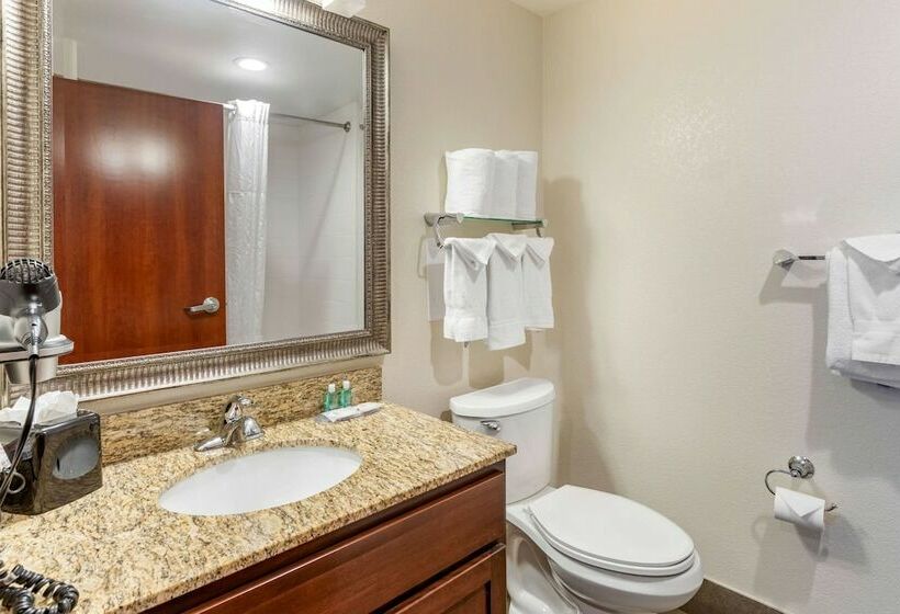 Люкс, Mainstay Suites Near Denver Downtown