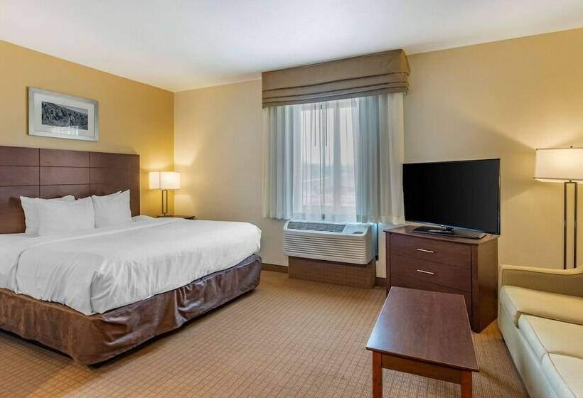 스위트, Mainstay Suites Near Denver Downtown