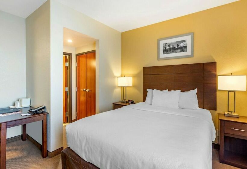 Люкс, Mainstay Suites Near Denver Downtown