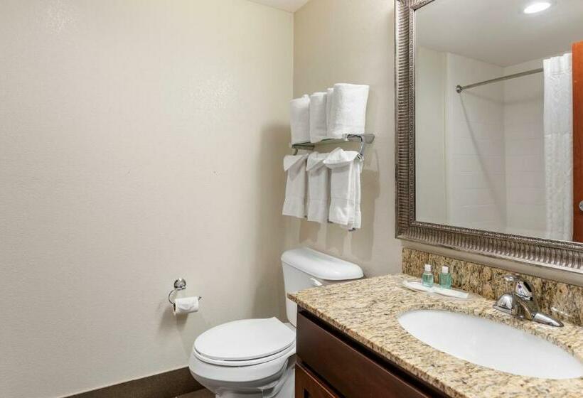 스위트 킹사이즈 침대, Mainstay Suites Near Denver Downtown