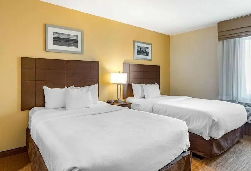 身障者適用スイートルーム, Mainstay Suites Near Denver Downtown