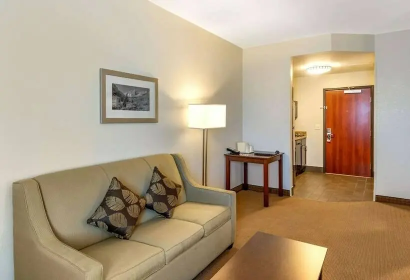 身障者適用スイートルーム, Mainstay Suites Near Denver Downtown