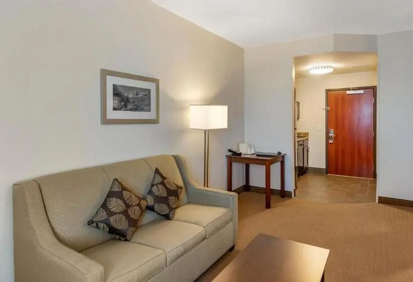スイート, Mainstay Suites Near Denver Downtown