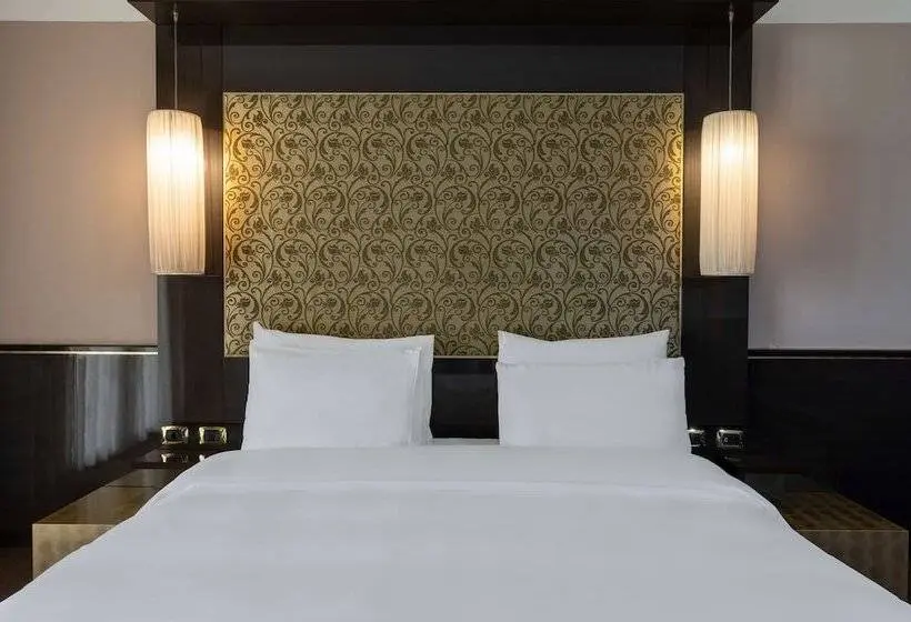 اتاق سوپریور با چشم‌انداز شهر, Radisson Blu Hotel N Djamena