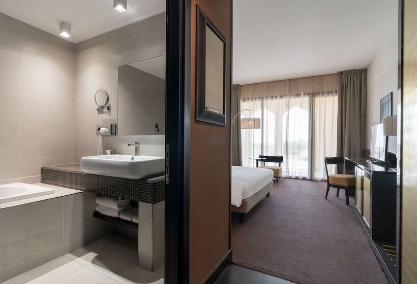 带泳池观景的豪华房, Radisson Blu Hotel N Djamena