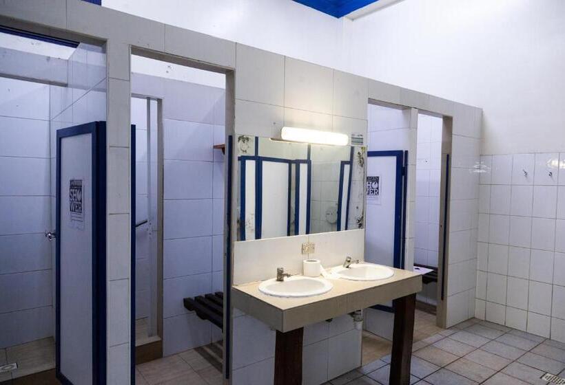 共用房间的床, La Casa Roja Hostel