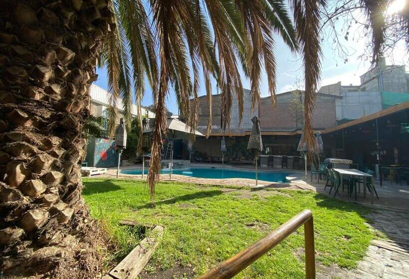 تختخواب در اتاق مشترک, La Casa Roja Hostel