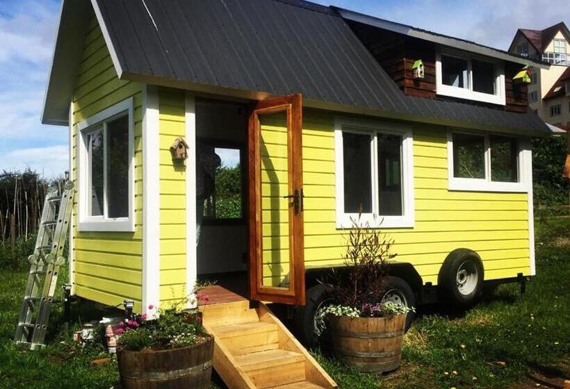 خانه 1 خوابه, La Guapa Hostel