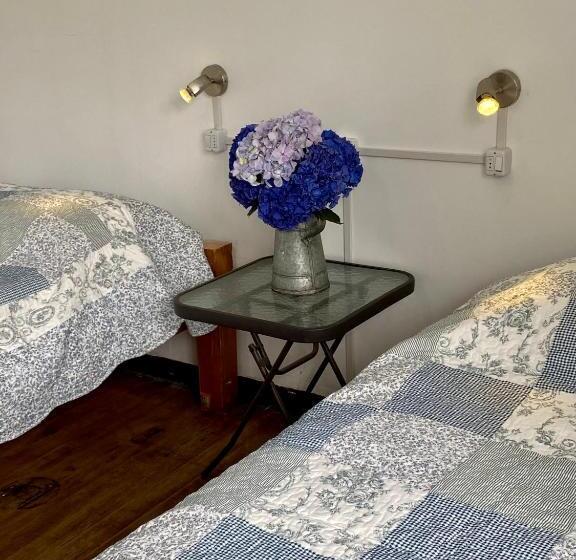 اتاق استاندارد با سرویس بهداشتی مشترک, La Guapa Hostel