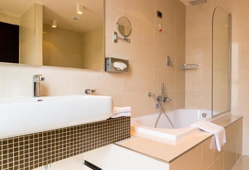 プレミアムルーム, Radisson Blu Hotel N Djamena