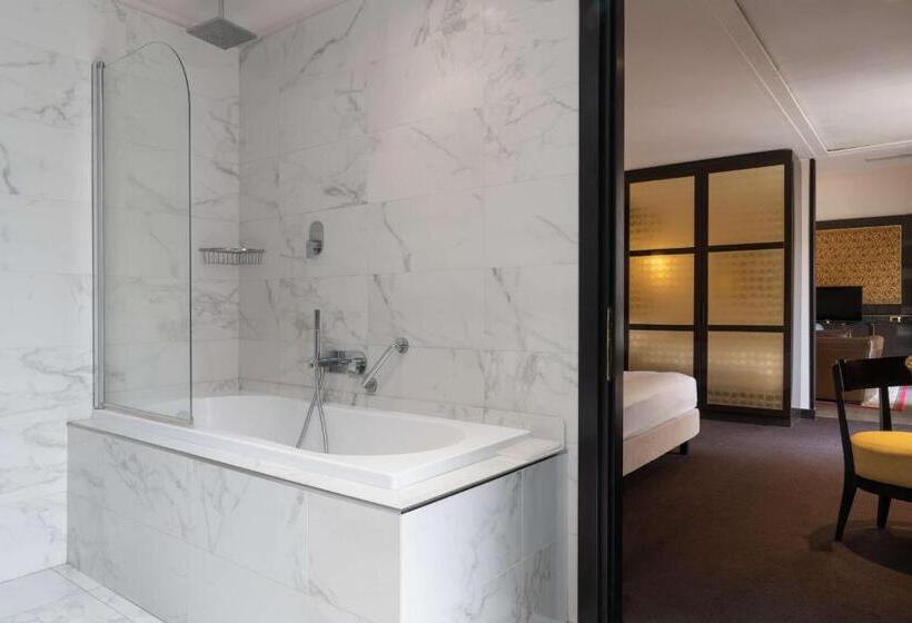 带露台的套间, Radisson Blu Hotel N Djamena
