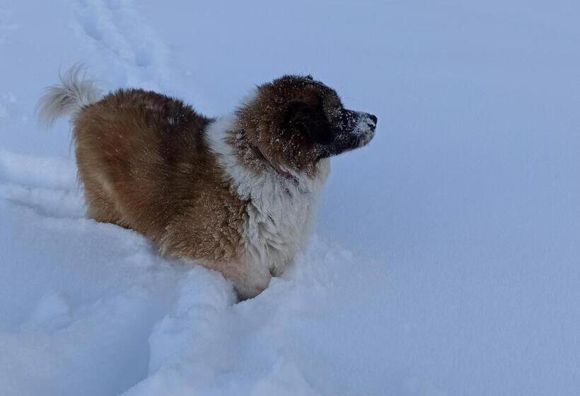 スタンダードルーム, B&b Casa Riz
