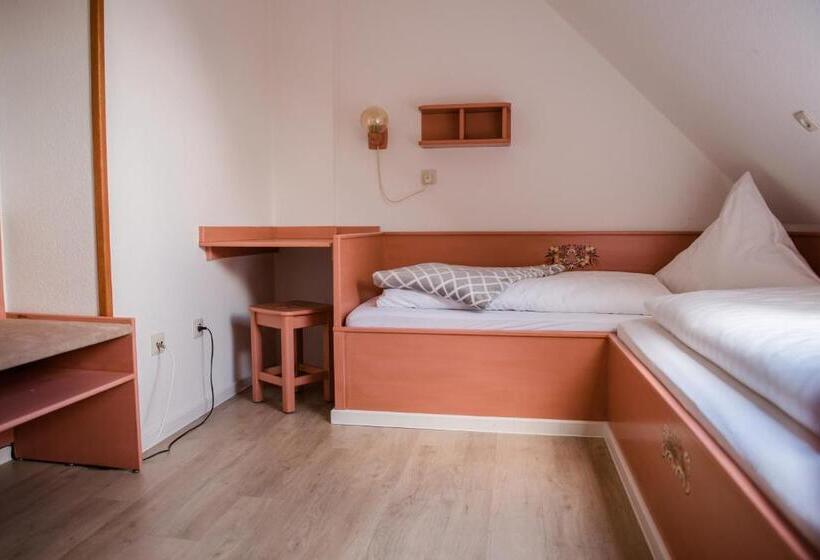 Номер Стандарт, Allmanns Kroog