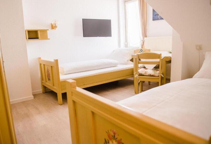 Номер Стандарт, Allmanns Kroog