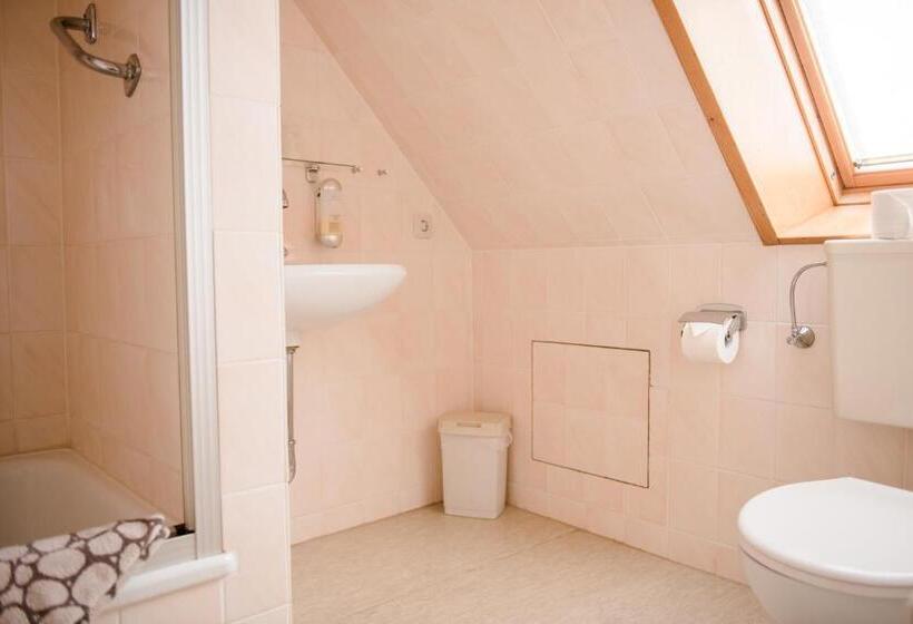 Номер Стандарт, Allmanns Kroog