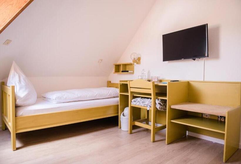 Номер Стандарт, Allmanns Kroog