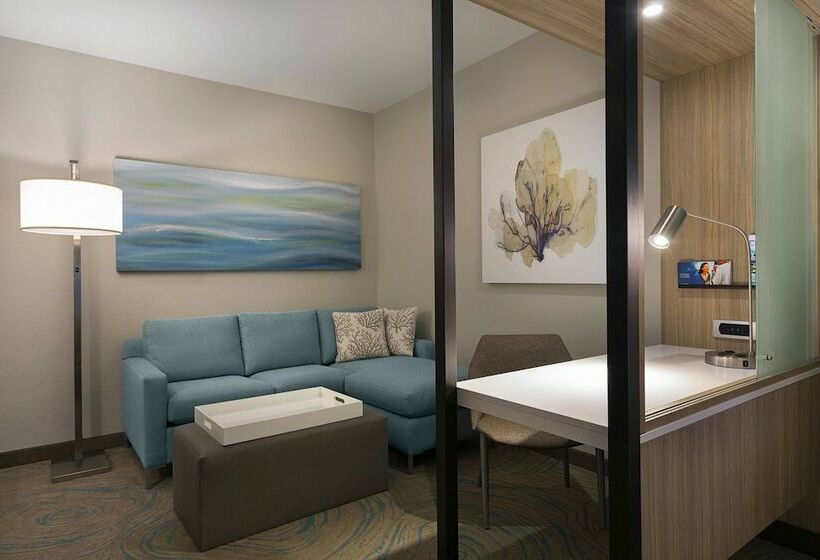 Люкс Боковой Вид на Море, Springhill Suites By Marriott New Smyrna Beach