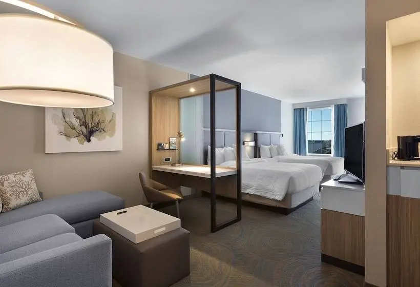 Sviitti Sivuttainen Merinäkymä, Springhill Suites By Marriott New Smyrna Beach