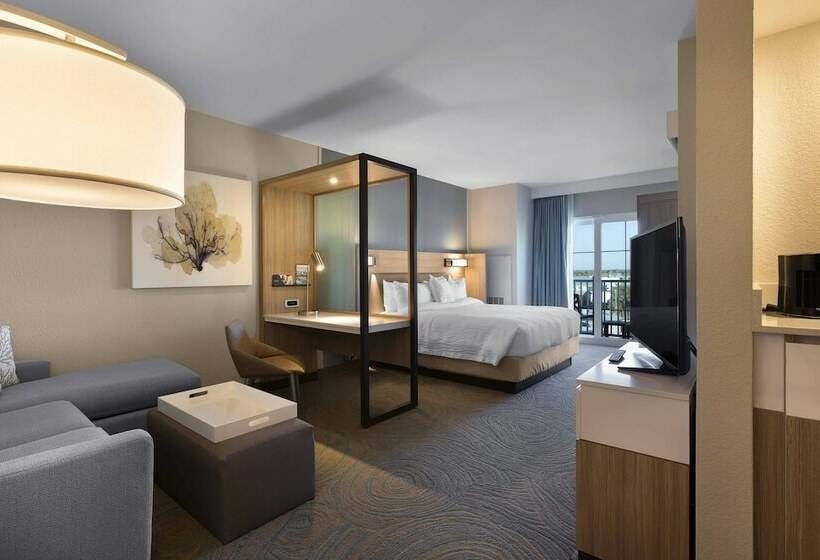 Люкс Боковой Вид на Море, Springhill Suites By Marriott New Smyrna Beach
