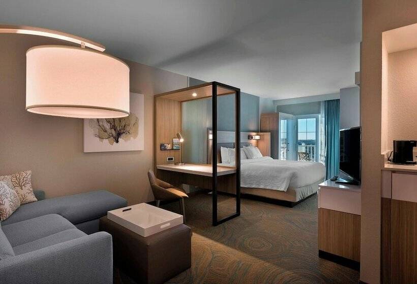 Люкс Боковой Вид на Море, Springhill Suites By Marriott New Smyrna Beach