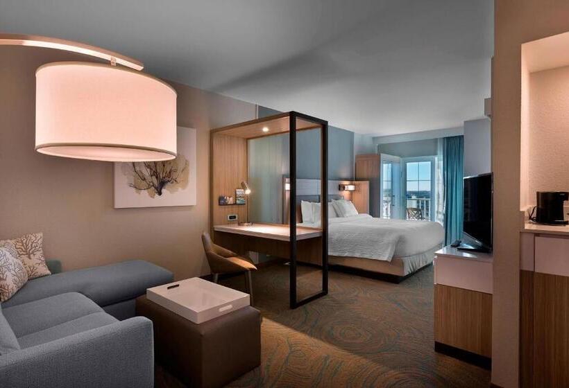 스위트 킹사이즈 침대, Springhill Suites By Marriott New Smyrna Beach
