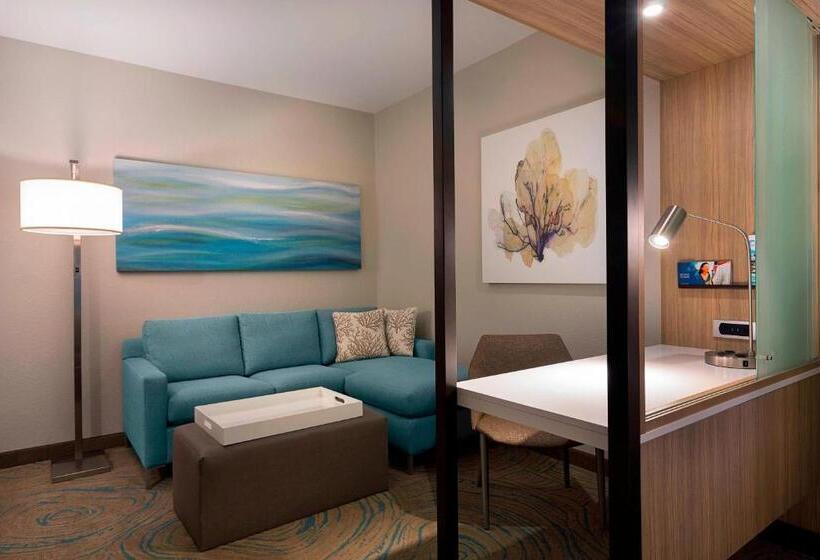 Люкс Кровать Кинг, Springhill Suites By Marriott New Smyrna Beach