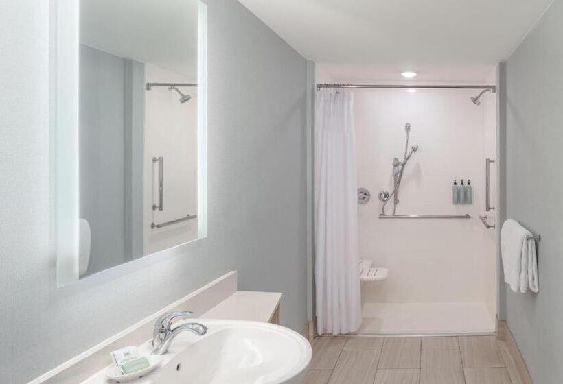 Люкс Кровать Кинг, Springhill Suites By Marriott New Smyrna Beach