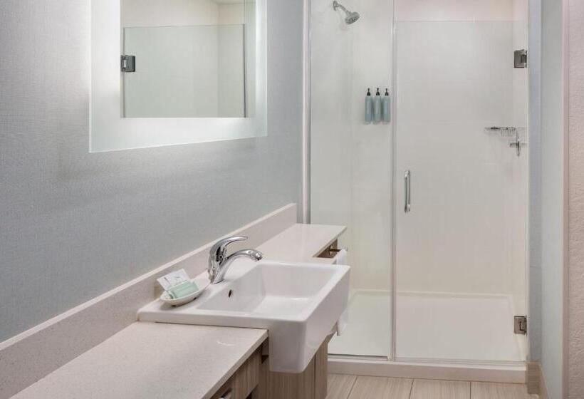 Люкс, Springhill Suites By Marriott New Smyrna Beach