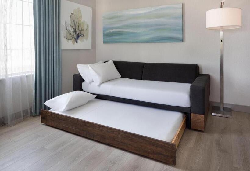 측면 바다 전망 스위트, Springhill Suites By Marriott New Smyrna Beach