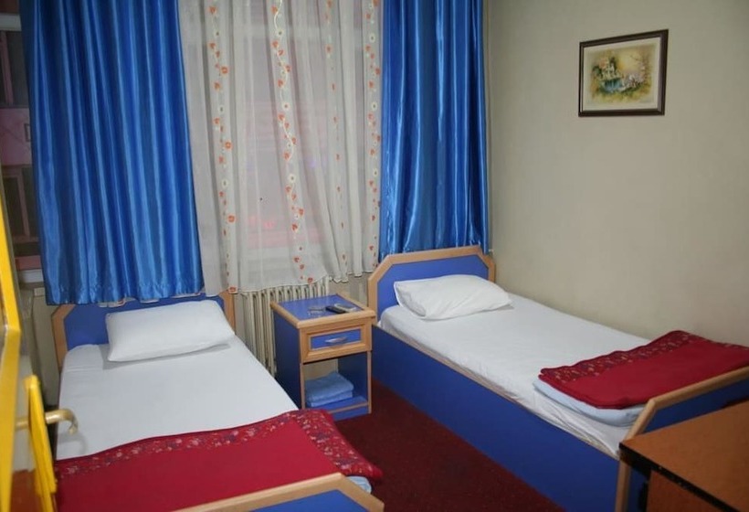 חדר סטנדרט חדר אמבטיה משותף, Efebey Otel