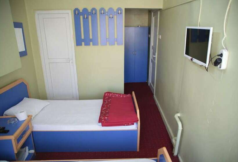 חדר סטנדרט חדר אמבטיה משותף, Efebey Otel