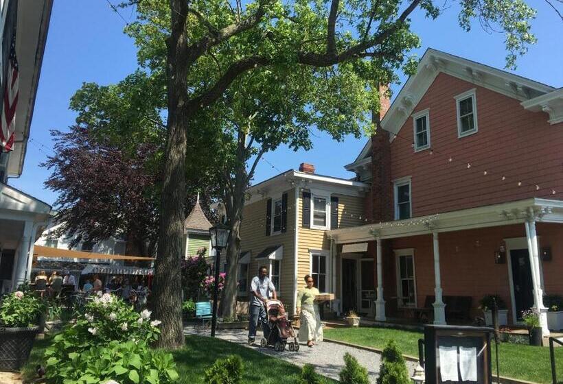 מיטת קינג בסוויטה, American Beech