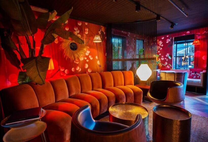 דירת שני חדרים, American Beech