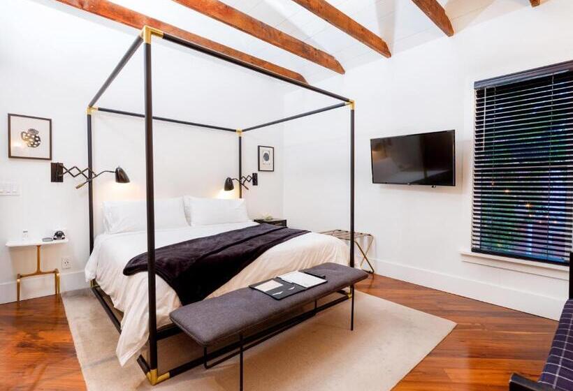 סטודיו דלוקס, American Beech