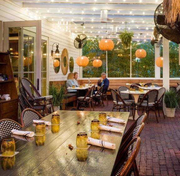 סטודיו דלוקס, American Beech