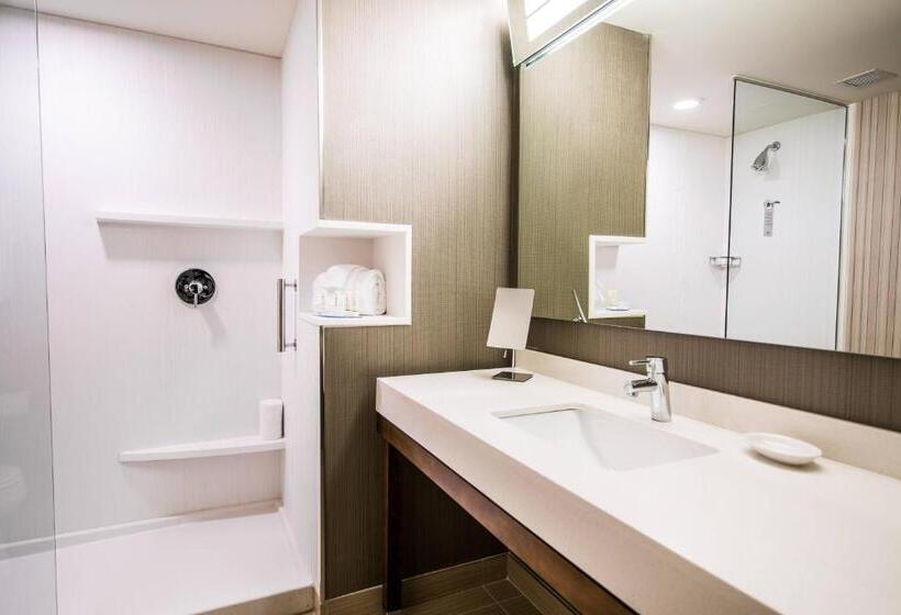 Standard Szoba King Size Bed, Courtyard By Marriott Columbia Cayce