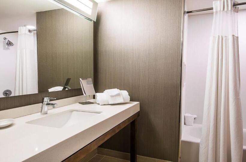 스탠다드 룸 킹사이즈 침대, Courtyard By Marriott Columbia Cayce