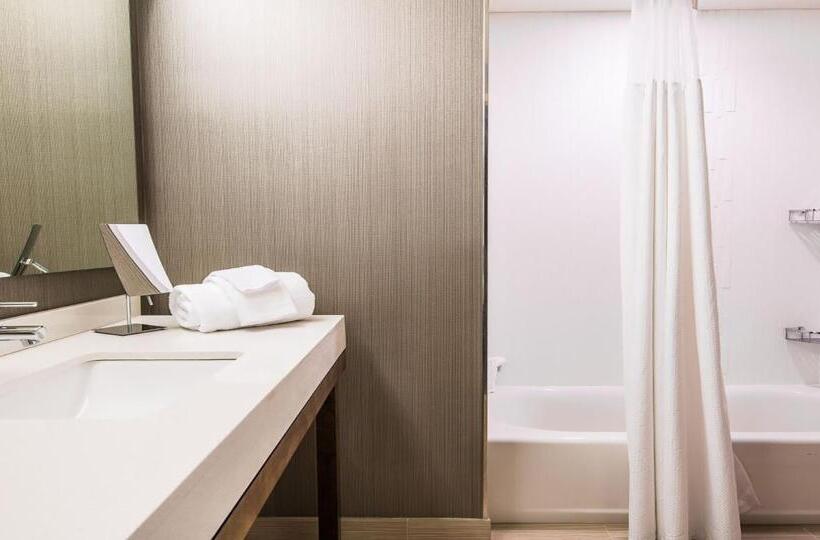 스탠다드 룸 킹사이즈 침대, Courtyard By Marriott Columbia Cayce