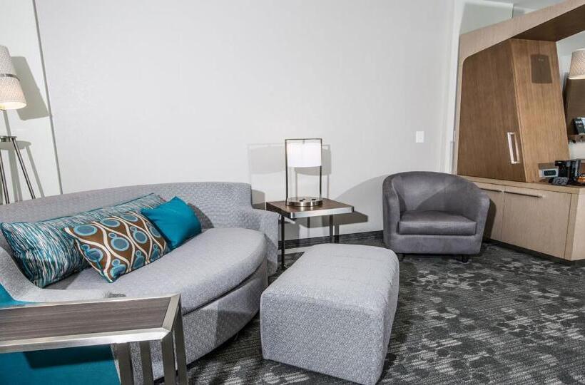 Standard Szoba King Size Bed, Courtyard By Marriott Columbia Cayce