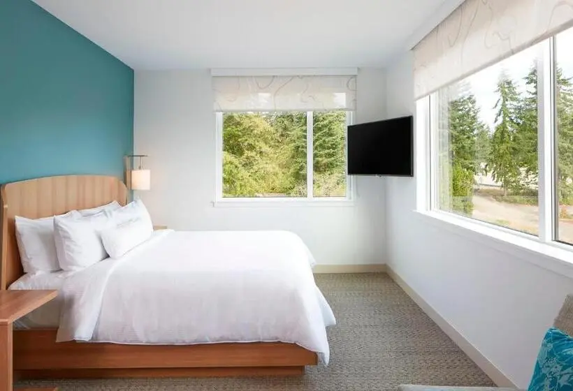 Executive-sviitti King-vuode, Element Seattle Redmond