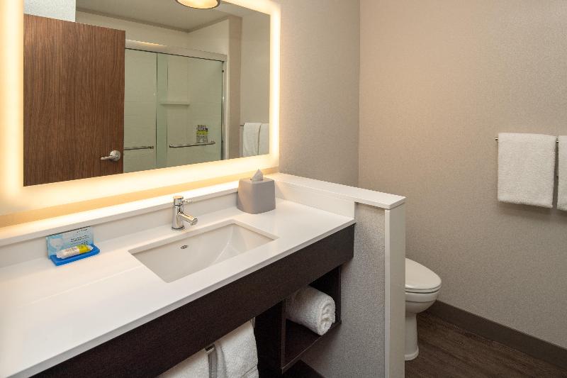 장애인을 위한 킹사이즈 침대 스탠다드 룸, Holiday Inn Express & Suites   Camas, An Ihg