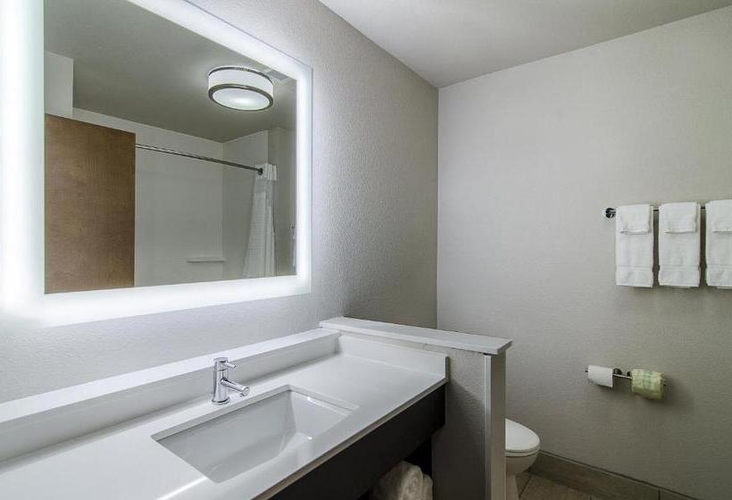 Номер Стандарт, Holiday Inn Express & Suites   Atchison, An Ihg