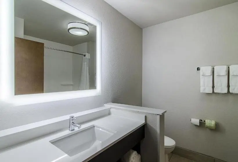 スタンダードルーム, Holiday Inn Express & Suites   Atchison, An Ihg
