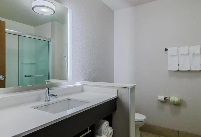 身障者適用キングサイズベッドルーム, Holiday Inn Express & Suites   Atchison, An Ihg