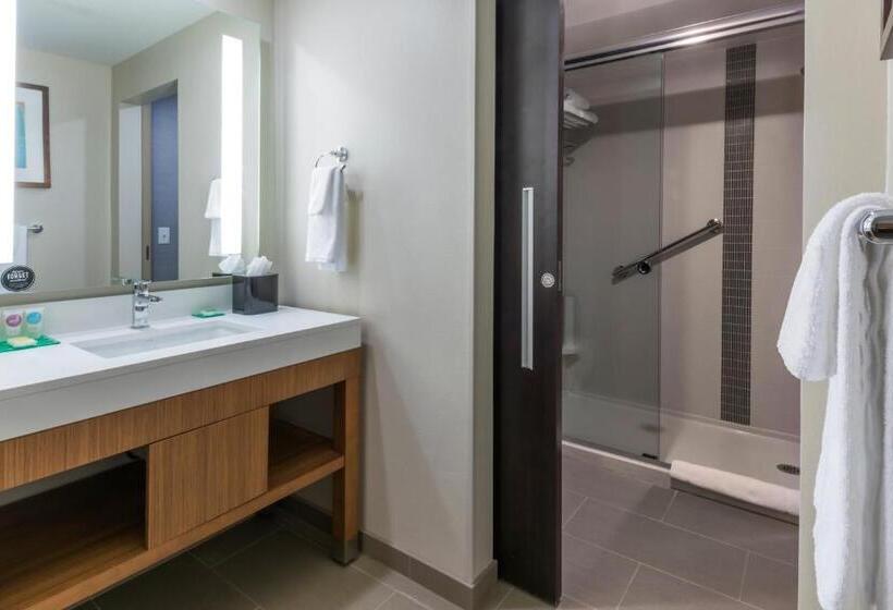 带大床的标准间, Hyatt Place Boise/downtown