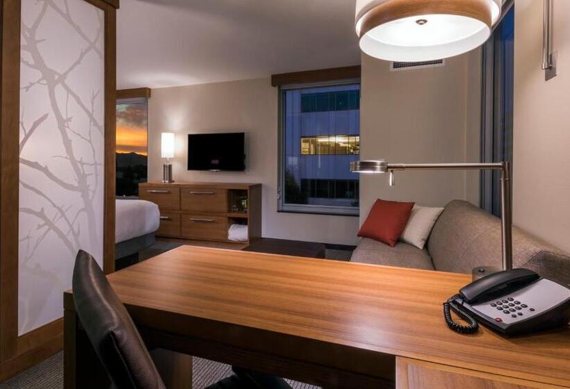 اتاق استاندارد با تخت بزرگ, Hyatt Place Boise/downtown