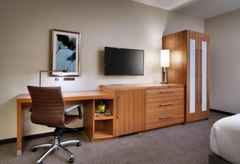 اتاق استاندارد با تخت بزرگ, Hyatt Place Boise/downtown