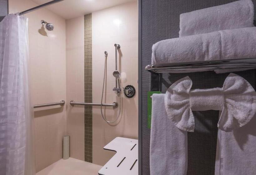 适合残疾人士使用的套间, Hyatt Place Boise/downtown