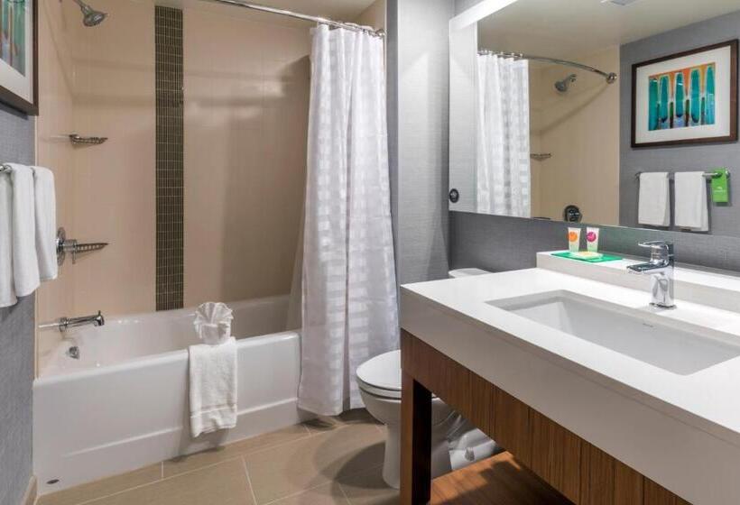 适合残疾人使用的标准间, Hyatt Place Boise/downtown